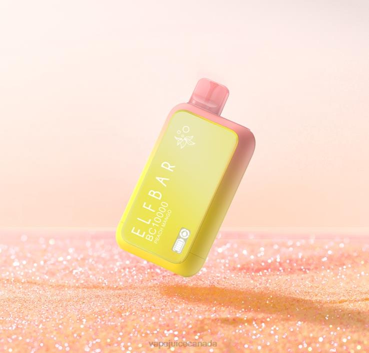 ELFBAR BC10000 Disposable Vape Sunit Edition Peach Mango TH02X8