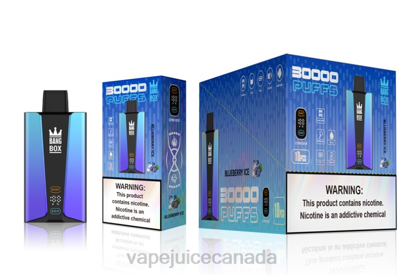 Pod Juice Canada - Bang Box 30000 Puffs Smart Screen Blueberry Ice DL8879