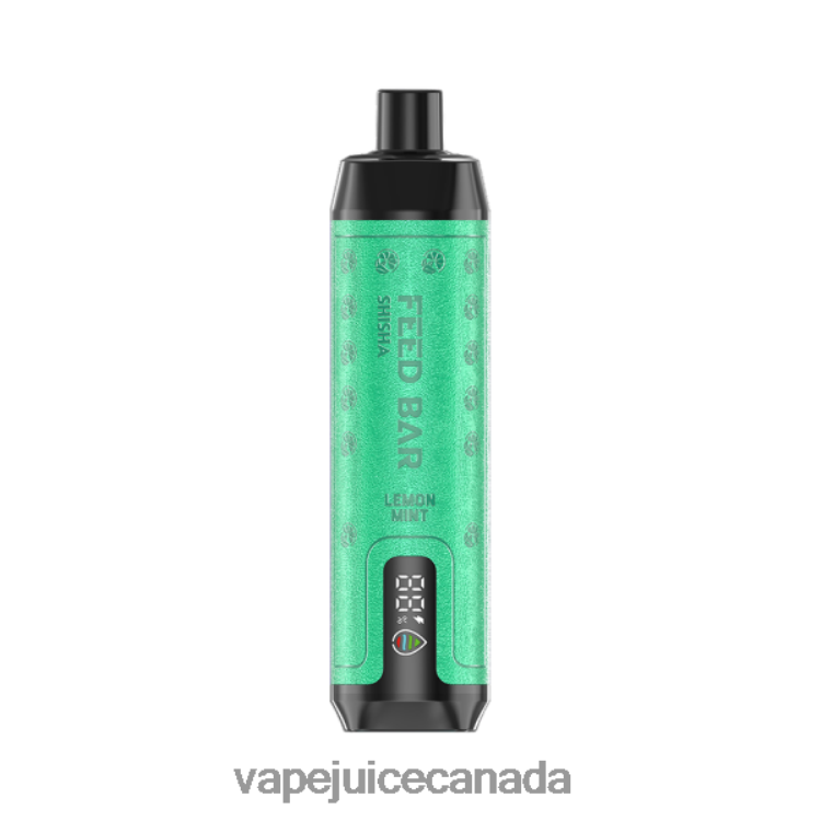 Pod Juice Canada - Vapsolo SHISHA Disposable Vape Lemon Mint L48080119