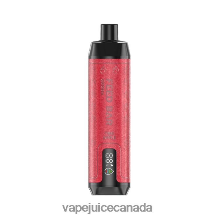 Pod Juice Canada - Vapsolo SHISHA Disposable Vape Two Apple L48080124
