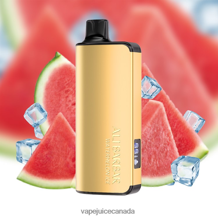Vape Canada - Alibarbar Ingot 20000 Disposable Vape Blueberry Blast L4808031
