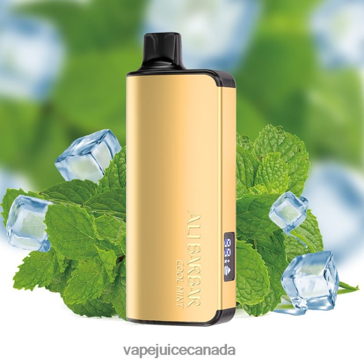 Vape Disposable Canada - Alibarbar Ingot 20000 Disposable Vape Cool Mint L4808035