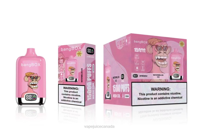 Vape Disposable Canada - Bang Box 15000 Puffs Watermelon Ice DL8845