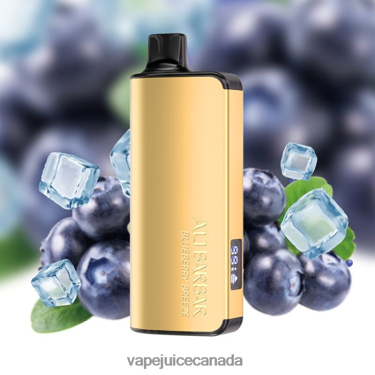 Vape Juice - Alibarbar Ingot 20000 Disposable Vape Blueberry Breeze L4808032