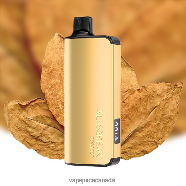 Vape Pen - Alibarbar Ingot 20000 Disposable Vape Mango Magic L4808048