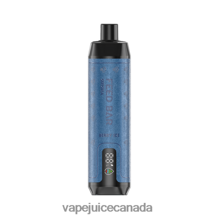 Vape Pen - Vapsolo SHISHA Disposable Vape Berry Ice L48080113