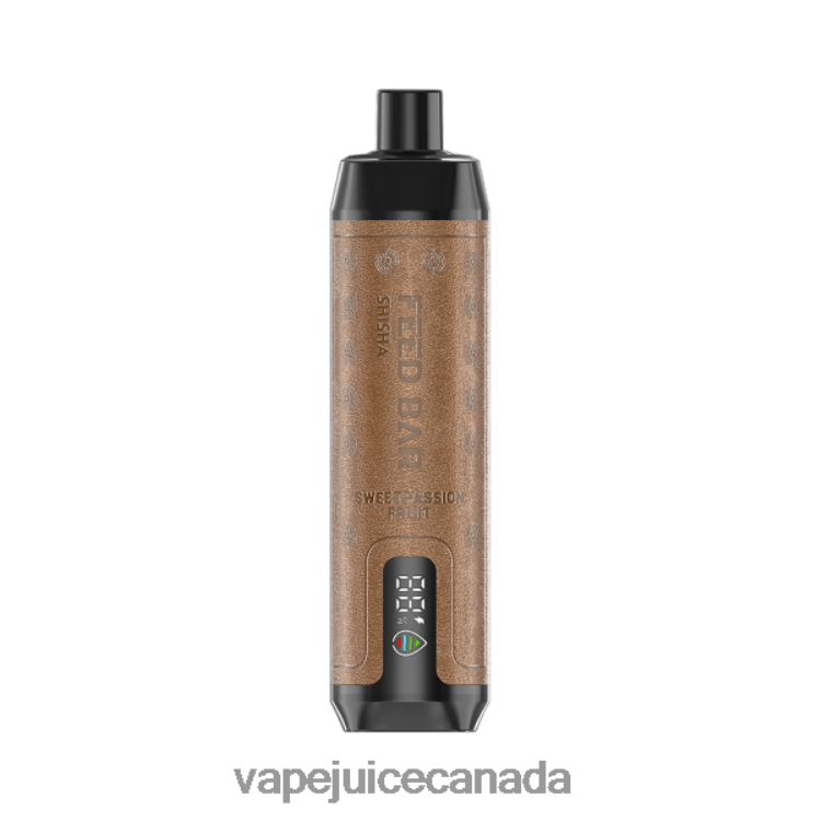 Vape Pen - Vapsolo SHISHA Disposable Vape Sweetpassion Fruit L48080123