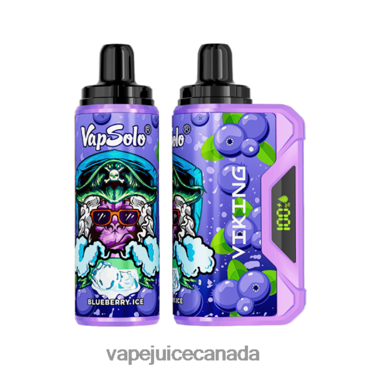 Vape Pen - Vapsolo VIKING Disposable Vape Blueberry L48080148
