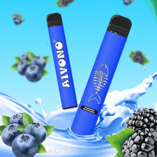 Vape Canada - Aivono AIM FISHBONE 600 Blueberry Raspberry J24Z281