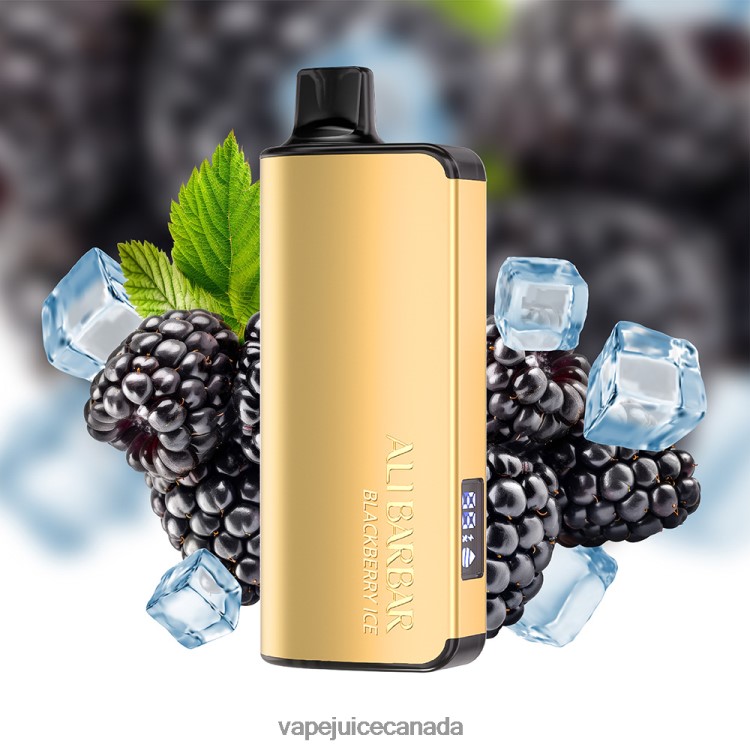 Pod Juice Canada - Alibarbar Ingot 9000 Disposable Vape Mango Magic L4808029