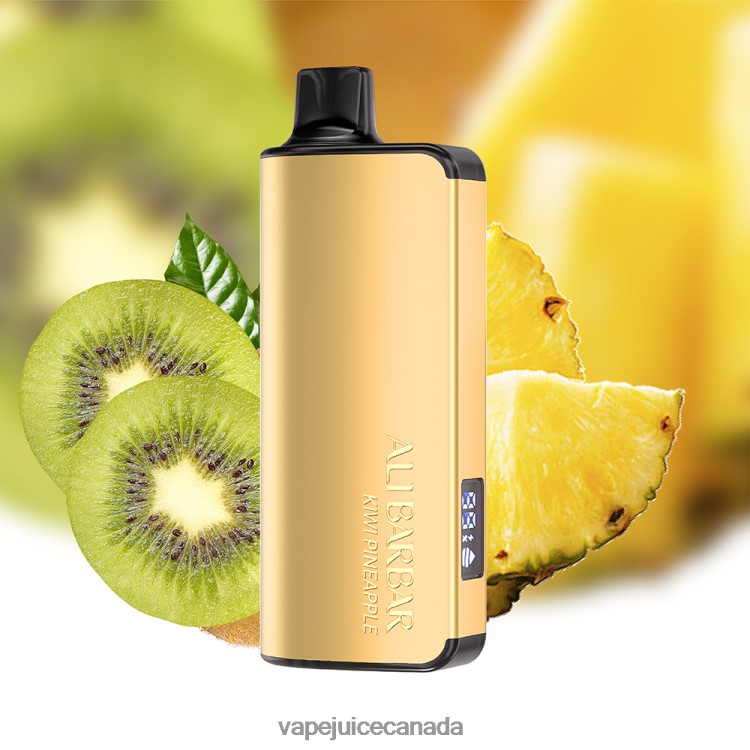 Vape Canada - Alibarbar Ingot 9000 Disposable Vape Kiwi Pineapple L4808021