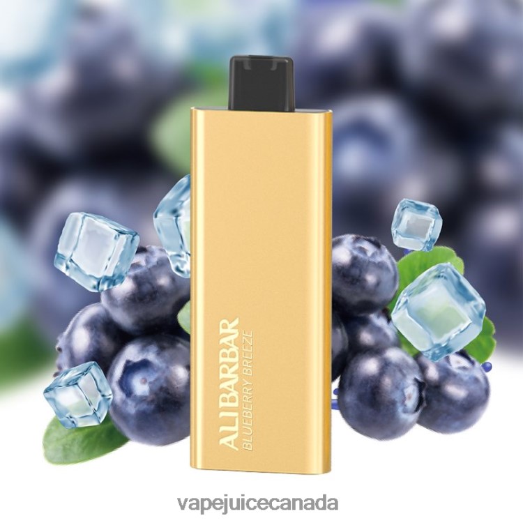 Vape Canada - Alibarbar Pandora 7000 Disposable Vape Blueberry Breeze L4808051