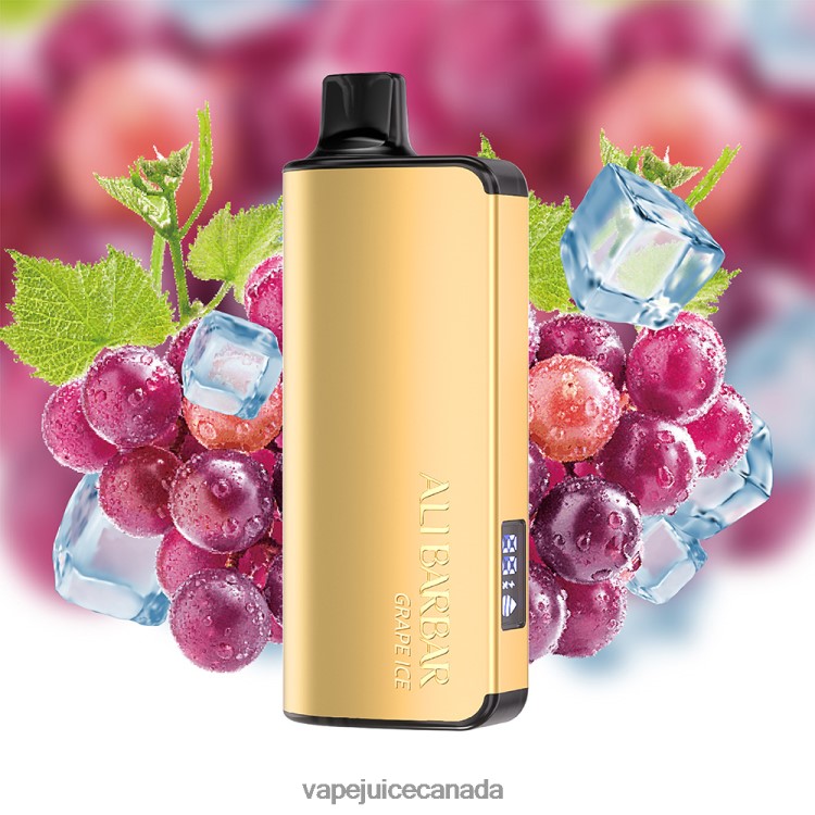 Vape Disposable Canada - Alibarbar Ingot 9000 Disposable Vape Grape Ice L4808020