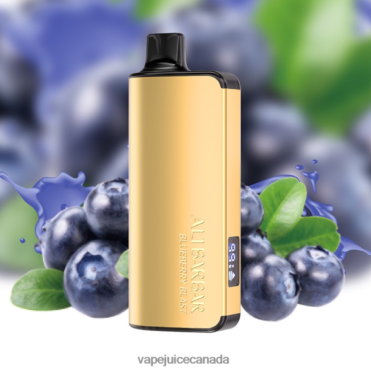 Vape Disposable Canada - Alibarbar Ingot 9000 Disposable Vape Grape Ice L4808020