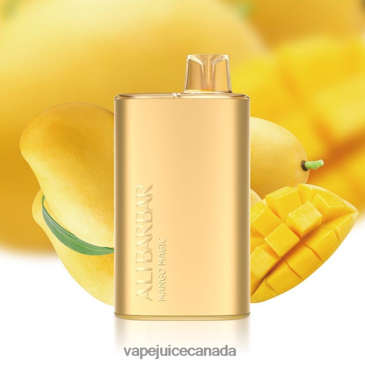 Vape Juice - Alibarbar Rich 8000 Disposable Vape Mango Magic L480807