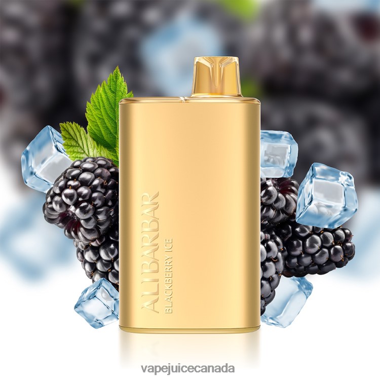 Vape Juice - Alibarbar Rich 8000 Disposable Vape Mango Magic L480807