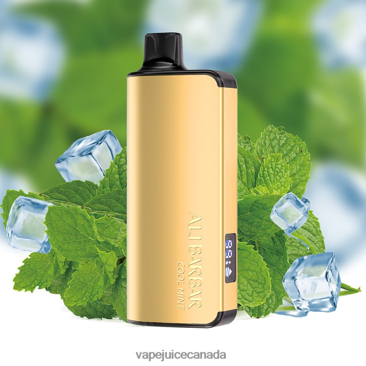 Vape Pen - Alibarbar Ingot 9000 Disposable Vape Cool Mint L4808018