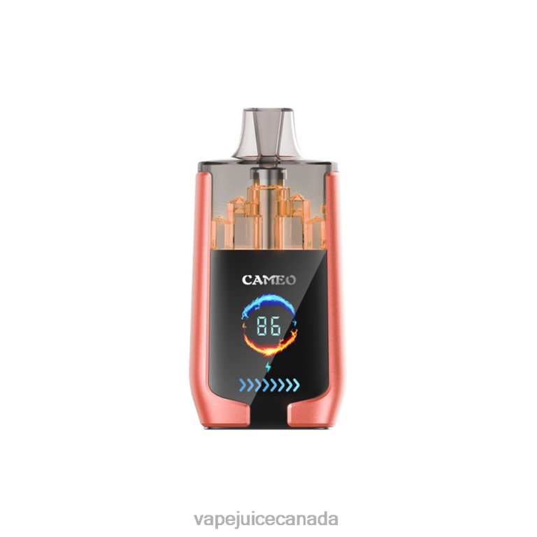 Pod Juice Canada - LAVIE CAMEO 30000 Puffs Strawberry Watermelon 2424824