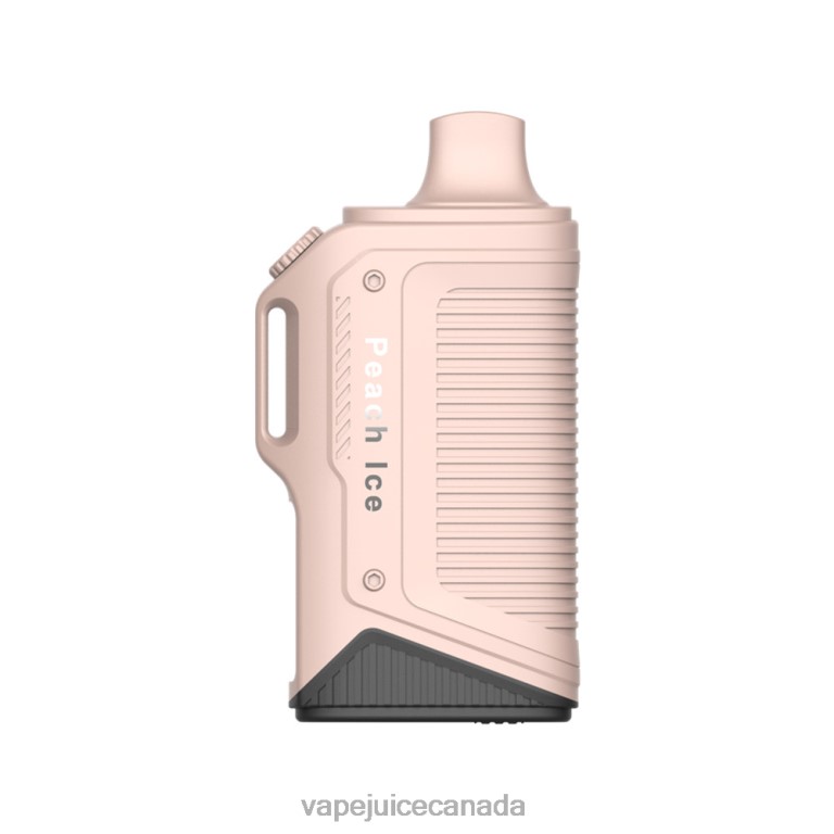 Pod Juice Canada - LAVIE Energy Box 15000 Puffs Peach Ice 2424879
