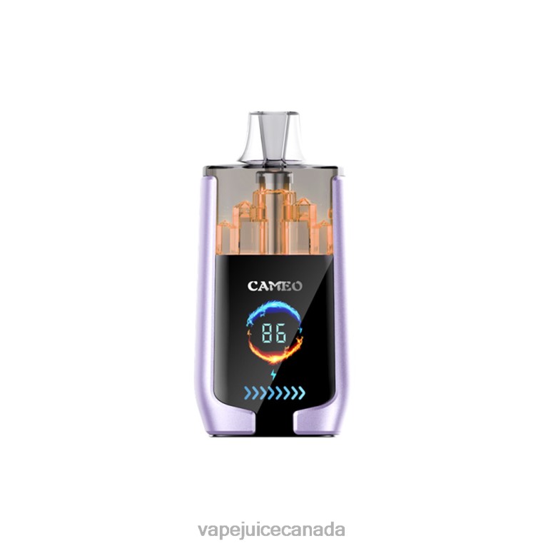 Vape Canada - LAVIE CAMEO 30000 Puffs Grape Ice 2424816