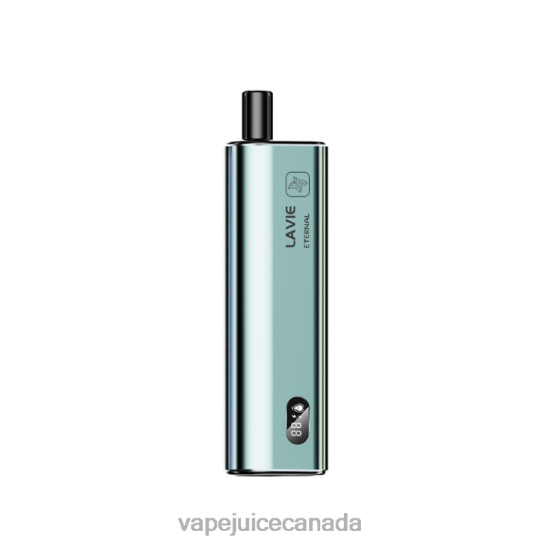 Vape Canada - LAVIE ETERNAL 10000 Puffs Mint Ice 24248121