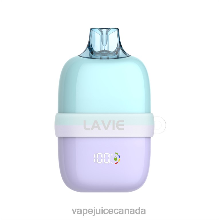 Vape Canada - LAVIE INSIDER 12000 Puffs Mint Ice 2424891