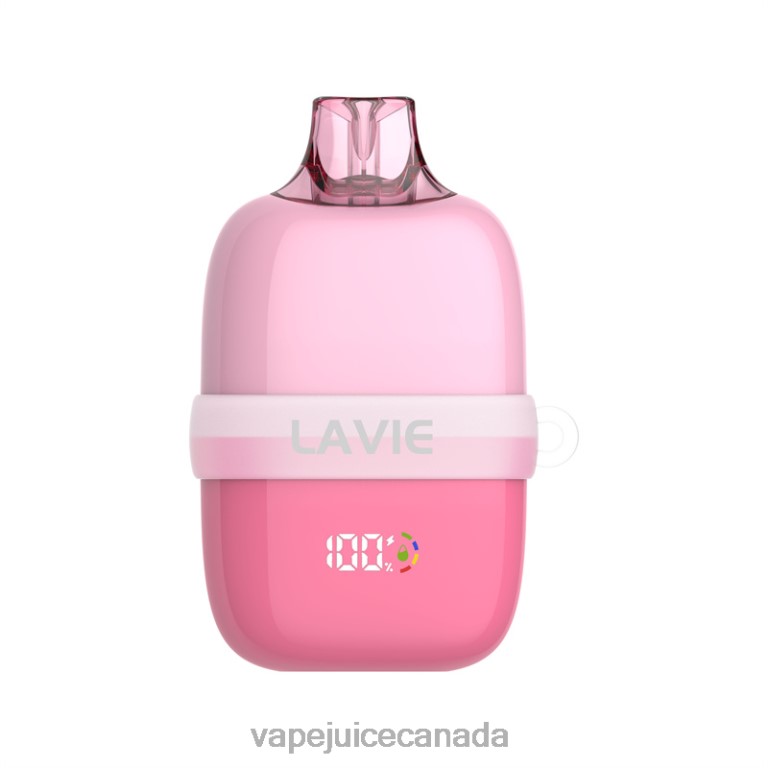 Vape Canada - LAVIE INSIDER 12000 Puffs Strawberry Watermelon 2424881