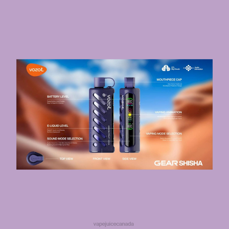 Vape Canada - VOZOL Gear Shisha 25000 4B0441