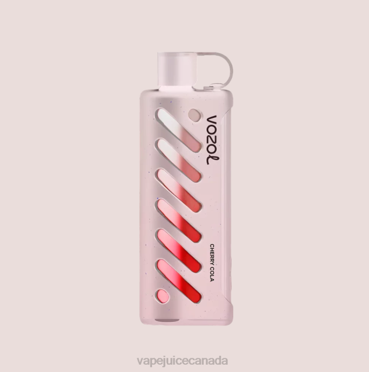 Vape Canada - VOZOL Gear Shisha 25000 4B0441