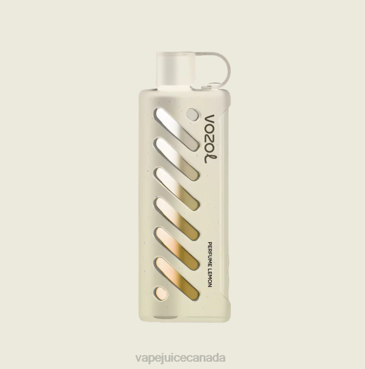 Vape Canada - VOZOL Gear Shisha 25000 4B0441