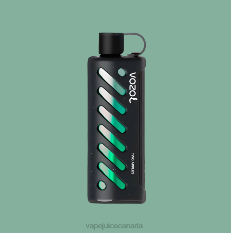 Vape Canada - VOZOL Gear Shisha 25000 4B0441