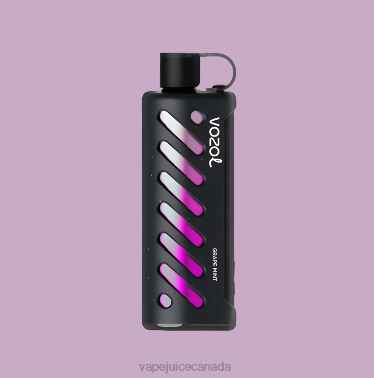 Vape Canada - VOZOL Gear Shisha 25000 4B0441