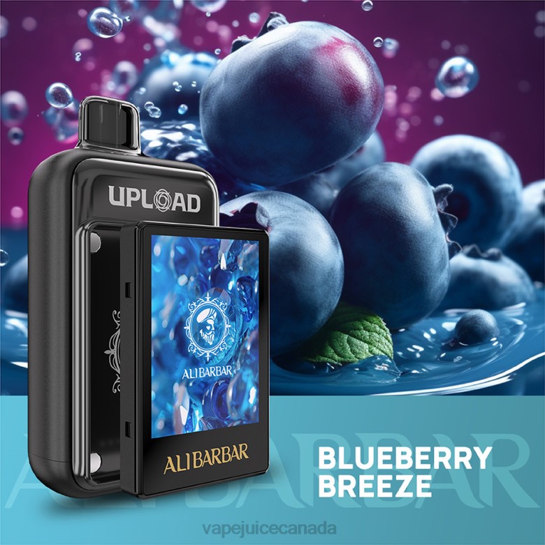 Vape Disposable Canada - Alibarbar Upload Blueberry breeze TRR8113