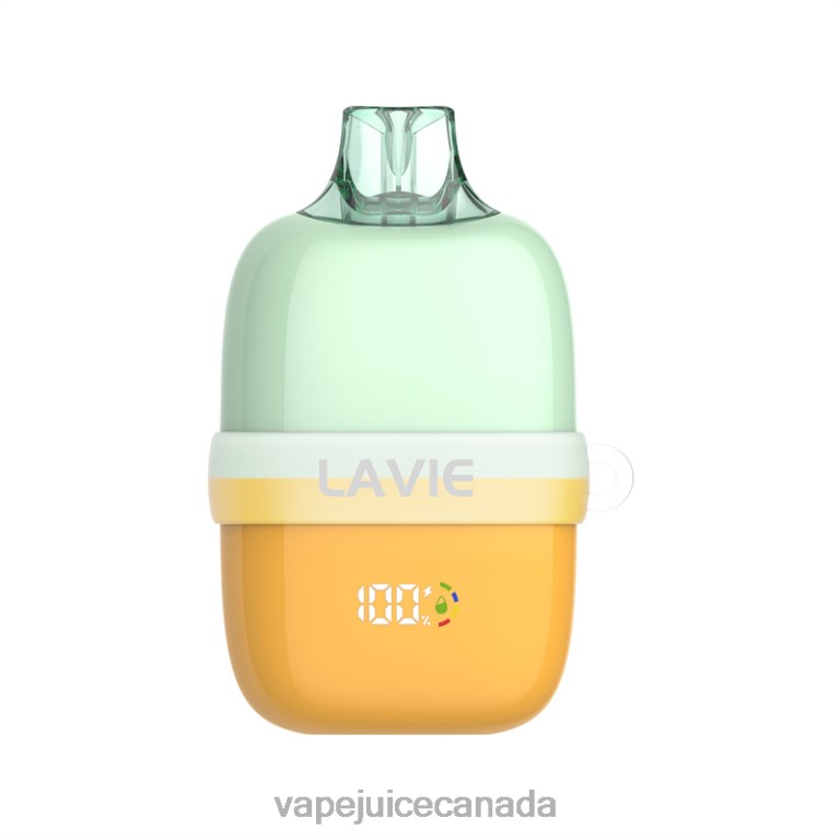 Vape Disposable Canada - LAVIE INSIDER 12000 Puffs Orange Ice 2424890
