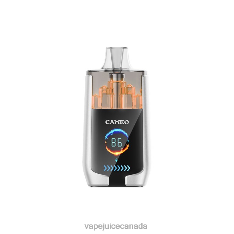 Vape Juice - LAVIE CAMEO 30000 Puffs Pear Ice 2424817