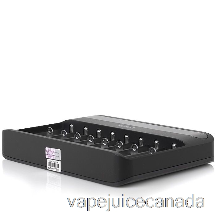Vape Juice Efest LUSH Q8 8 Bay Intelligent Battery Charger