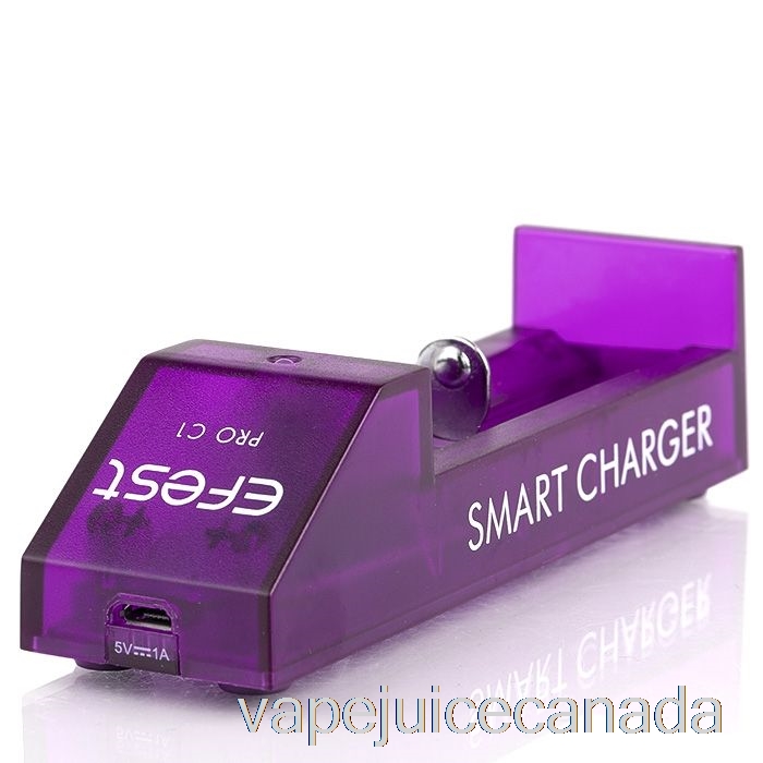 Vape Canada Efest PRO C1 1-Bay Smart Battery Charger
